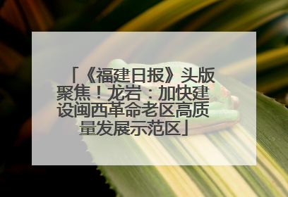 《福建日报》头版聚焦！龙岩：加快建设闽西革命老区高质量发展示范区