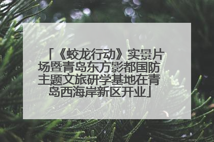 《蛟龙行动》实景片场暨青岛东方影都国防主题文旅研学基地在青岛西海岸新区开业