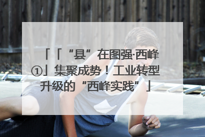 「“县”在图强·西峰①」集聚成势！工业转型升级的“西峰实践”