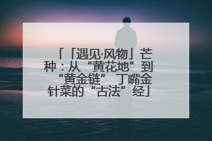 「遇见·风物」芒种：从“黄花地”到“黄金链” 丁嘴金针菜的“古法”经