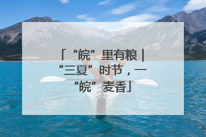 “皖”里有粮｜“三夏”时节，一“皖”麦香