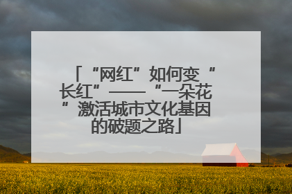 “网红”如何变“长红”——“一朵花”激活城市文化基因的破题之路