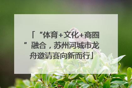 “体育+文化+商圈”融合，苏州河城市龙舟邀请赛向新而行