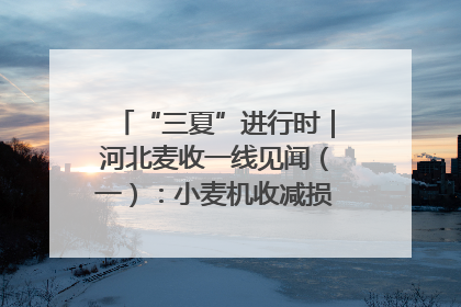 “三夏”进行时｜河北麦收一线见闻（一）：小麦机收减损“竞技” 农机高手麦田“过招”