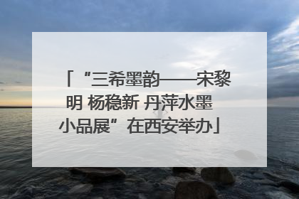 “三希墨韵——宋黎明 杨稳新 丹萍水墨小品展”在西安举办
