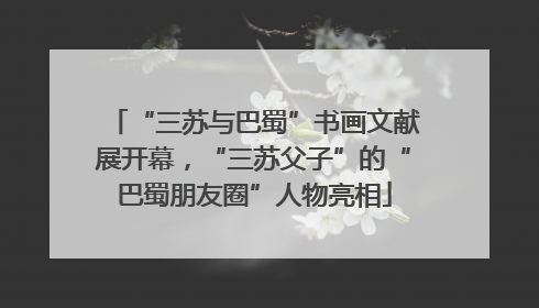 “三苏与巴蜀”书画文献展开幕，“三苏父子”的“巴蜀朋友圈”人物亮相