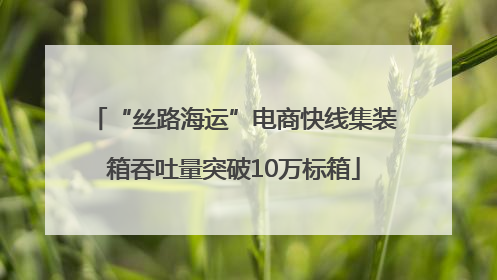 “丝路海运”电商快线集装箱吞吐量突破10万标箱