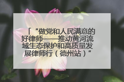 “做党和人民满意的好律师——推动黄河流域生态保护和高质量发展律师行（德州站）”活动成功举办