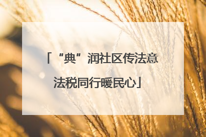 “典”润社区传法意 法税同行暖民心