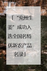“兖州生姜”成功入选全国名特优新农产品名录