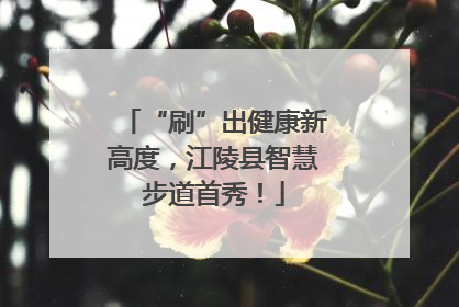 “刷”出健康新高度，江陵县智慧步道首秀！