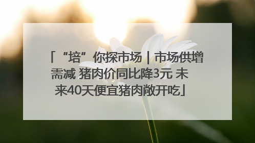 “培”你探市场｜市场供增需减 猪肉价同比降3元 未来40天便宜猪肉敞开吃
