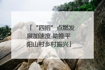 “四招”点燃发展加速度 助推平阳山村乡村振兴
