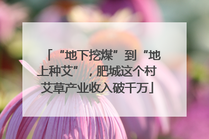 “地下挖煤”到“地上种艾”，肥城这个村艾草产业收入破千万