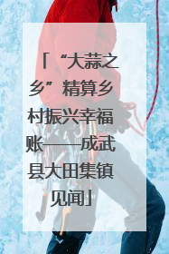 “大蒜之乡”精算乡村振兴幸福账——成武县大田集镇见闻