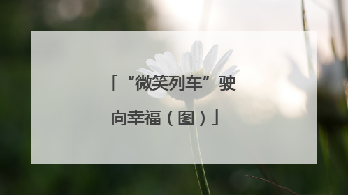 “微笑列车”驶向幸福（图）