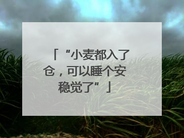 “小麦都入了仓，可以睡个安稳觉了”
