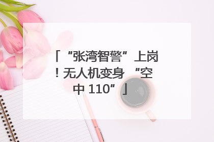 “张湾智警”上岗！无人机变身 “空中 110”