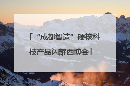 “成都智造”硬核科技产品闪耀西博会
