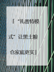 “扎赉特模式”让黑土粮仓家底更实