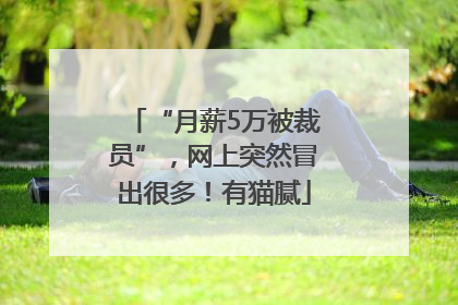 “月薪5万被裁员”，网上突然冒出很多！有猫腻