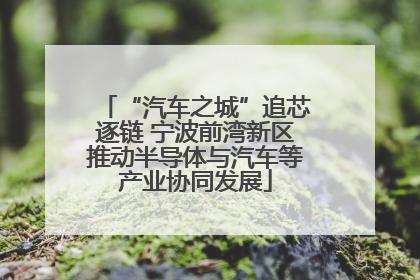 “汽车之城”追芯逐链 宁波前湾新区推动半导体与汽车等产业协同发展