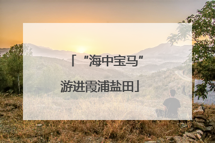 “海中宝马”游进霞浦盐田