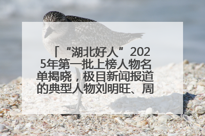 “湖北好人”2025年第一批上榜人物名单揭晓，极目新闻报道的典型人物刘明旺、周亮亮榜上有名