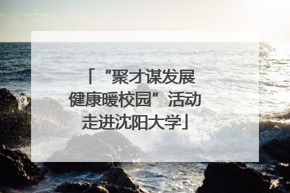 “聚才谋发展 健康暖校园”活动走进沈阳大学