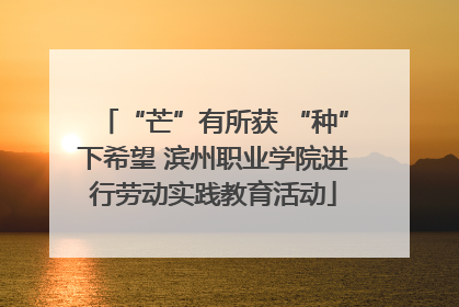 “芒”有所获 “种”下希望 滨州职业学院进行劳动实践教育活动