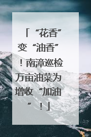 “花香”变“油香”！南漳巡检万亩油菜为增收“加油”！