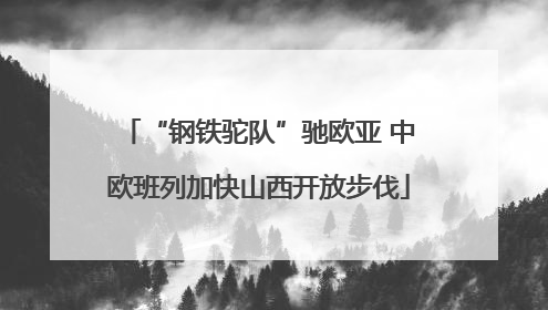 “钢铁驼队”驰欧亚 中欧班列加快山西开放步伐