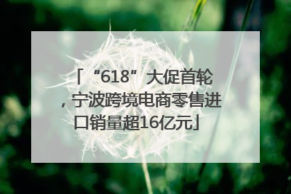 “618”大促首轮，宁波跨境电商零售进口销量超16亿元