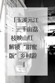 玉溪元江：三千亩荔枝映山红 解锁“甜蜜版”乡村游