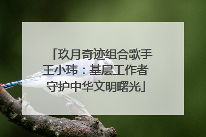 玖月奇迹组合歌手王小玮：基层工作者守护中华文明曙光