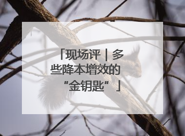 现场评｜多些降本增效的“金钥匙”