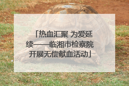热血汇聚 为爱延续——临湘市检察院开展无偿献血活动