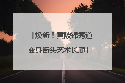 焕新！黄陂锦秀道变身街头艺术长廊