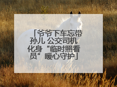 爷爷下车忘带孙儿 公交司机化身“临时照看员”暖心守护