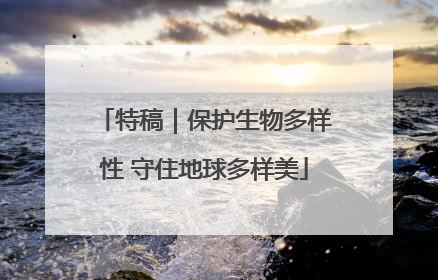 特稿｜保护生物多样性 守住地球多样美