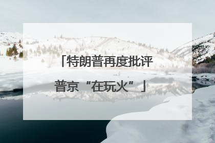 特朗普再度批评普京“在玩火”
