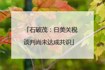 石破茂：日美关税谈判尚未达成共识