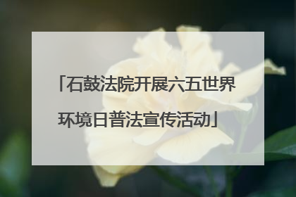 石鼓法院开展六五世界环境日普法宣传活动