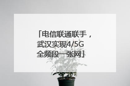 电信联通联手，武汉实现4/5G全频段一张网