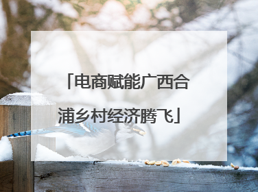 电商赋能广西合浦乡村经济腾飞
