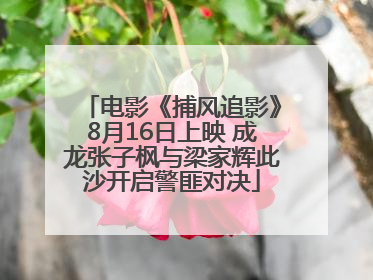 电影《捕风追影》8月16日上映 成龙张子枫与梁家辉此沙开启警匪对决