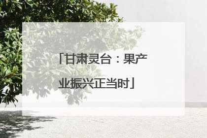 甘肃灵台：果产业振兴正当时