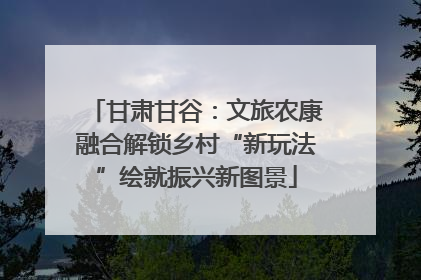 甘肃甘谷：文旅农康融合解锁乡村“新玩法”绘就振兴新图景
