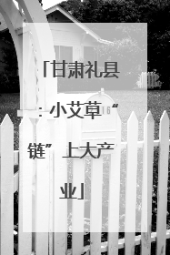 甘肃礼县：小艾草“链”上大产业