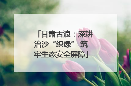 甘肃古浪：深耕治沙“织绿” 筑牢生态安全屏障